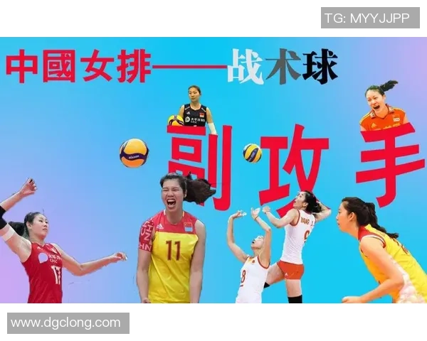 深圳排球队战术表现深度分析与数据解读探讨