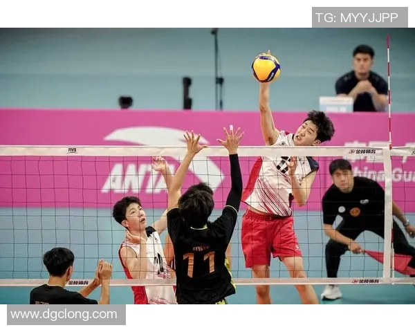 数据分析：重庆排球队的速度表现